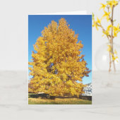 Het wonder van de schepping / herfst kaart (Gele Bloem)