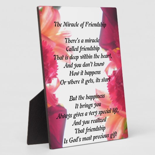 Het wonder van de vriendschapsplaque fotoplaat (Zijkant)