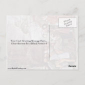 Het wonder van Titian Briefkaart (Achterkant)