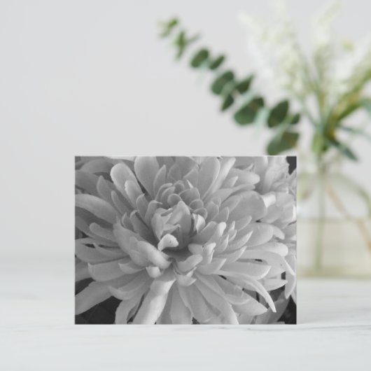 Het woord Briefkaart (Staand voorkant)