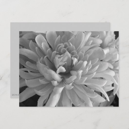 Het woord Briefkaart (Voorkant / Achterkant)