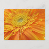 Het woord Briefkaart (Voorkant)