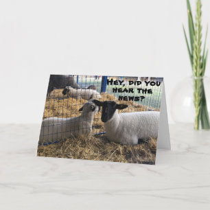 HET WOORD HIER IS: "JE HEBT EEN BIRTHDAY" KAART