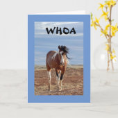 HET WOORD IS DAT U **8* KAART BENT (Gele Bloem)