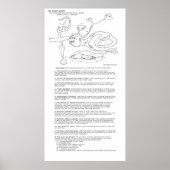 Het Woord Mines Poster (Voorkant)