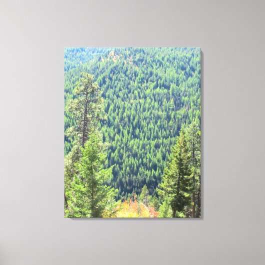 Het wrakkendoek canvas afdruk (Voorkant)