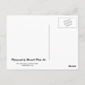 Het Wrigley Building II Briefkaart (Achterkant)