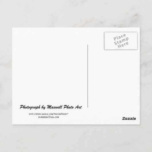 Het Wrigley Building II Briefkaart (Achterkant)