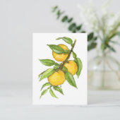 Het Yuzu Collectie Briefkaart (Staand voorkant)