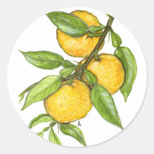 Het Yuzu-Collectie Ronde Sticker