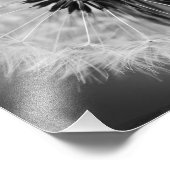 Het zaad van de Morgen Foto Afdruk (Hoek)