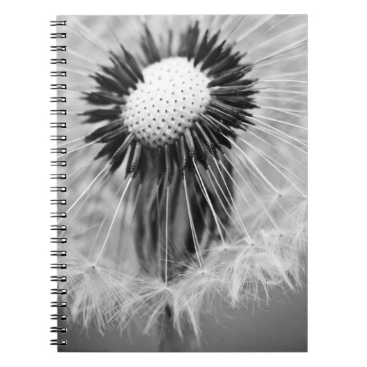 Het zaad van de Morgen Notitieboek (Voorkant)