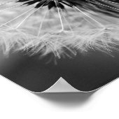 Het zaad van de Morgen Poster (Hoek)