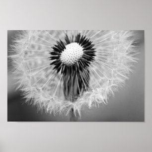 Het zaad van de Morgen Poster