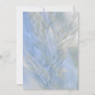 Het zaad van het Leven