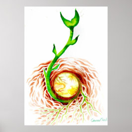 Het zaad van het leven poster