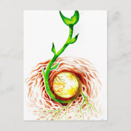 Het zaaddoek van het poster van het leven druk briefkaart