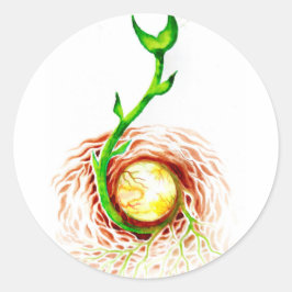 Het zaadje van het poster van het levenscanvas dru ronde sticker