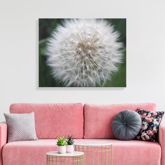 Het zaaien Paardebloem Bloem Canvas Print (Insitu (Woonkamer))