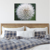 Het zaaien Paardebloem Bloem Canvas Print (Insitu (Slaapkamer))