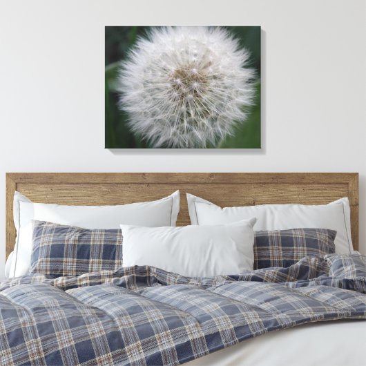 Het zaaien Paardebloem Bloem Canvas Print (Insitu (Slaapkamer))