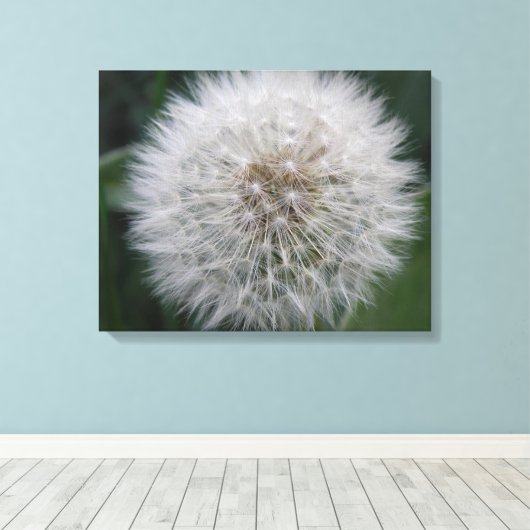 Het zaaien Paardebloem Bloem Canvas Print (Insitu (Houten vloer))