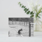 Het zaaien van de zaden van de liefde briefkaart (Staand voorkant)