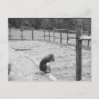 Het zaaien van de zaden van de liefde briefkaart