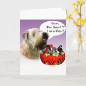 Het zachte Met een laag bedekte Wheaten Snoep van Kaart (Gele Bloem)