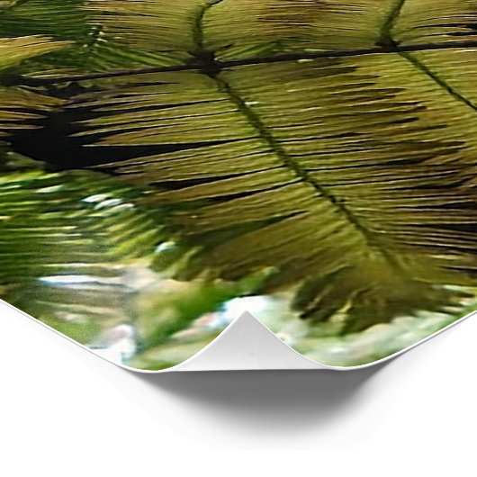 Het zachte overwint het harde perfect poster (Hoek)