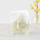 Het zachte Wit nam de Kaart van de Nota toe (Gele Bloem)