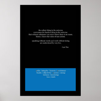 Het zachtste ding in het universum poster