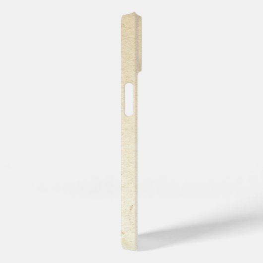 Het Zebra-kleurenblok Case-Mate iPhone Case (Achterkant / Rechts)