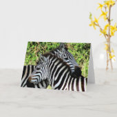 het zebra nestelt zich kaart (Gele Bloem)