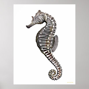 Het Zebra Seahorse Art Poster