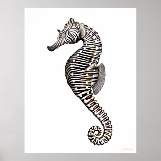 Het Zebra Seahorse Art Poster (Voorkant)