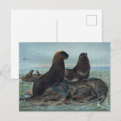 Het Zee Beer van Joseph Wolf Briefkaart (Voorkant / Achterkant)