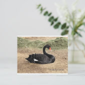 Het Zee dromen Briefkaart (Staand voorkant)