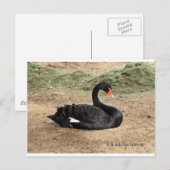 Het Zee dromen Briefkaart (Voorkant / Achterkant)