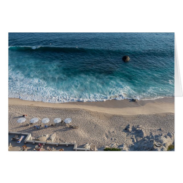 Het Zee van Cortez (Voorkant Horizontaal)