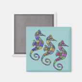 Het zeepaardje regenboog magneet (Voorkant / Achterkant)