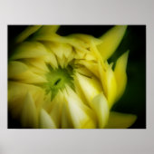 Het zich ontvouwen poster (Voorkant)