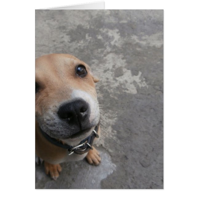 Het ziet er SUPER leuk uit!!! (Voorkant)