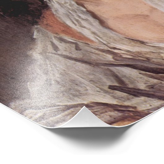 Het zigeunermeisje van Hals - Poster (Hoek)