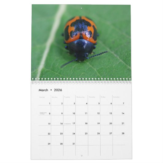 Het zijn de Beetles. Insecte agenda Kalender (Mar 2026)