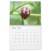 Het zijn de Beetles. Insecte agenda Kalender (Feb 2026)