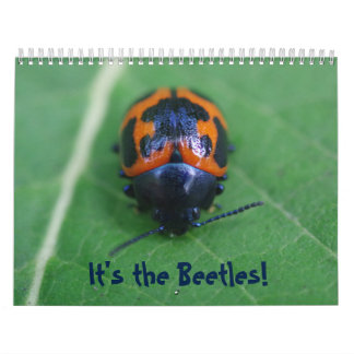 Het zijn de Beetles. Insecte agenda Kalender