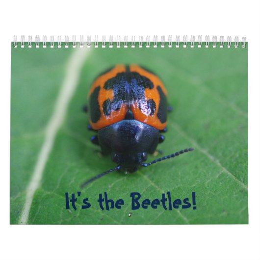 Het zijn de Beetles. Insecte agenda Kalender (Hoes)