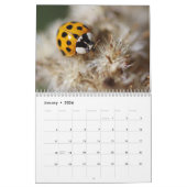 Het zijn de Beetles. Insecte agenda Kalender (Jan 2026)