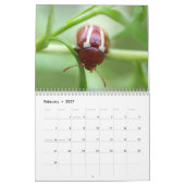 Het zijn de Beetles. Insecte agenda Kalender (Feb 2027)